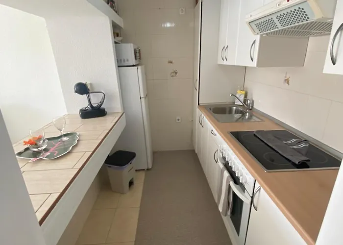 Estrella Del Mar Helechos * 티아즈